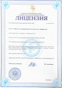 Лицензия_стр1